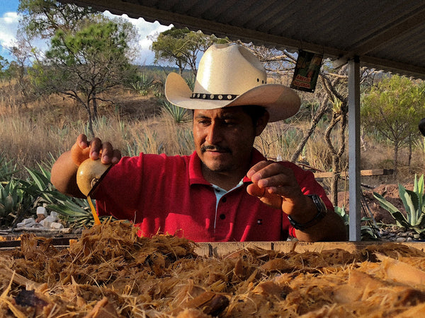 _<h2>Checking a fermentation</h2><p>Angel Cruz Robles in El Lazo (pop. 126) in the mountains west of Sola de Vega.</p>