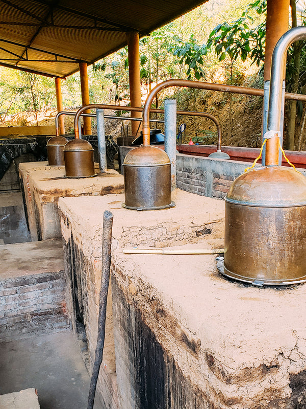 _<h2>The stills at the mezcal Tosba distillery, where Dakabend is crsuhed, fermented, and distilled.</h2> <p>Dakabend, distilled from fresh cane juice, is distilled using artisanal methods. Distiller  Edgar Gonzales-Ramirez carries out unusually long distillations, up to  12 hours. He has to be there because otherwise the workers heat up the fire so they can go home.</p>