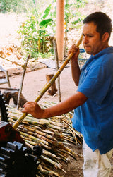 _<h2>Edgar crushing fresh-cut sugar cane</h2> <p>Artisanal rum is made from the juce you get when you crush fresh sugar cane. Commercials rums are made from by-products of manufacturing sugar, such as molasses. </p>