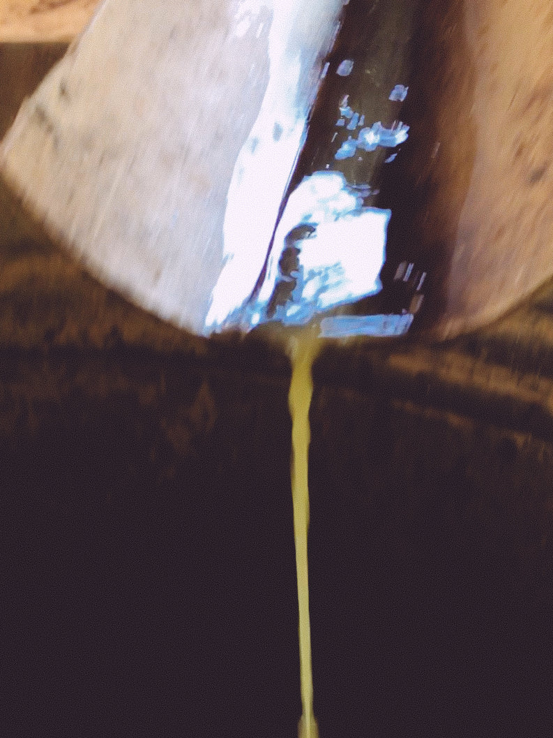 _<h2>Fresh cane juice coming from the crusher</h2><p>Its one of the tastiest and refreshing drinks there are. Here it’s falling into a fermentation vat; later, some of the crushed stalks are added to the vat, yielding a richer and more complex distilation material</p>