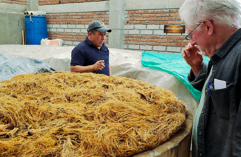 _<h2>Eber's new distillery</h2><p>Nicely planned, in San Juan del Rio. This is Ansley lsitening to Humberto Juan talk fermentation</p>